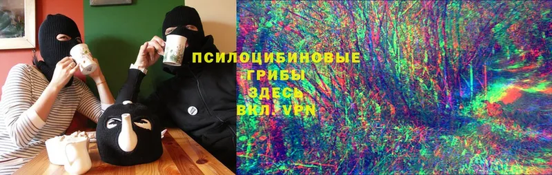 Где купить наркоту Венёв Галлюциногенные грибы  A-PVP  ГАШИШ  Cocaine  LSD-25  Канабис 